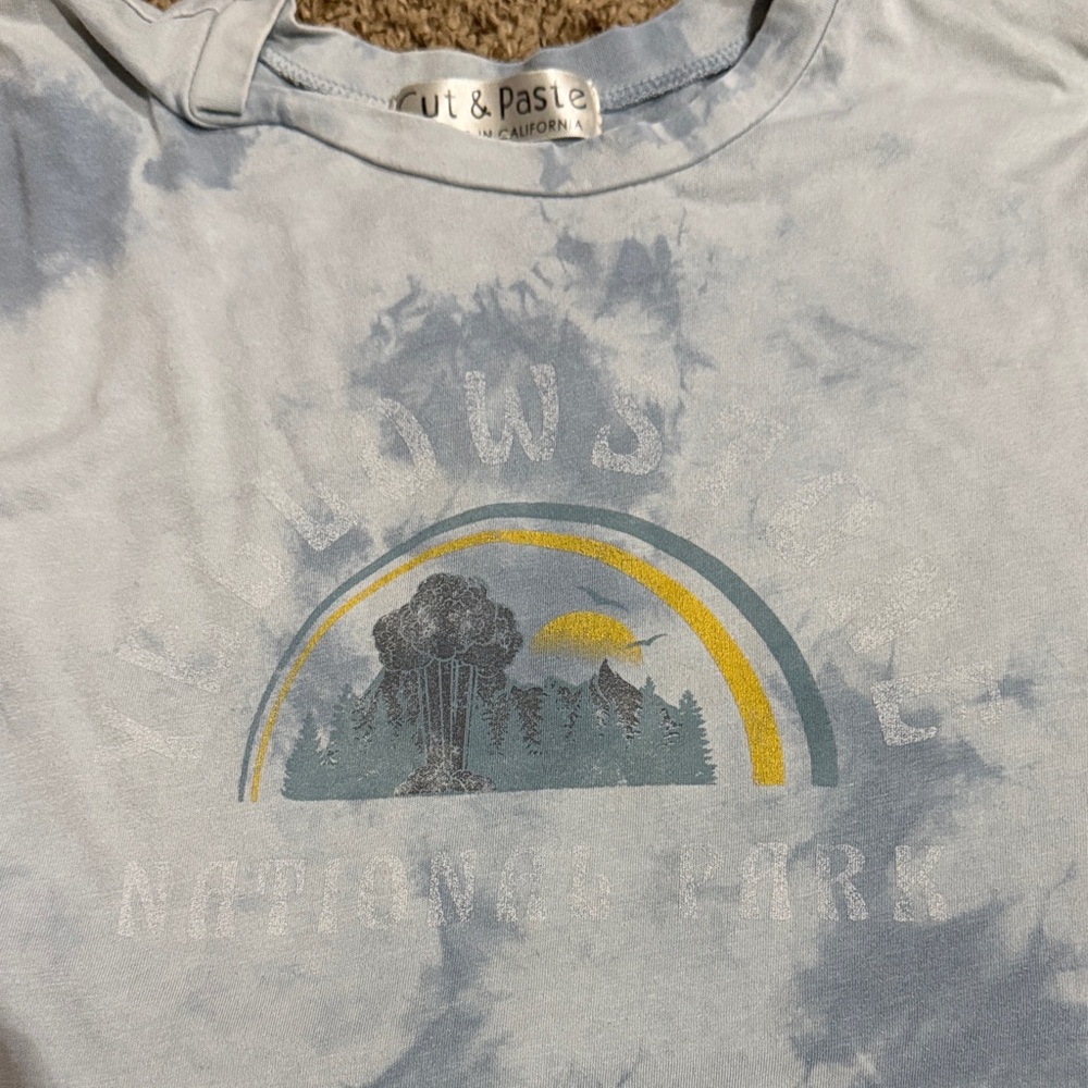 Cut & Paste Blue Graphic Crop Top